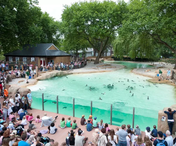 London Zoo